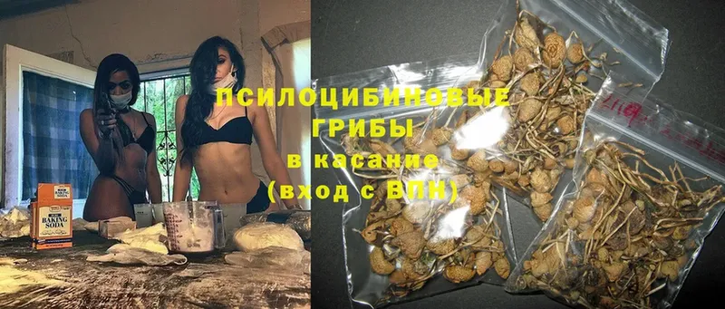 Псилоцибиновые грибы MAGIC MUSHROOMS  Ужур 